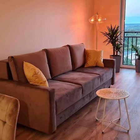 プシェムィシルMily, Nowy, Luksusowy Apartamentアパートメント エクステリア 写真